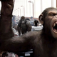 Rise Of The Planet Of The Apes